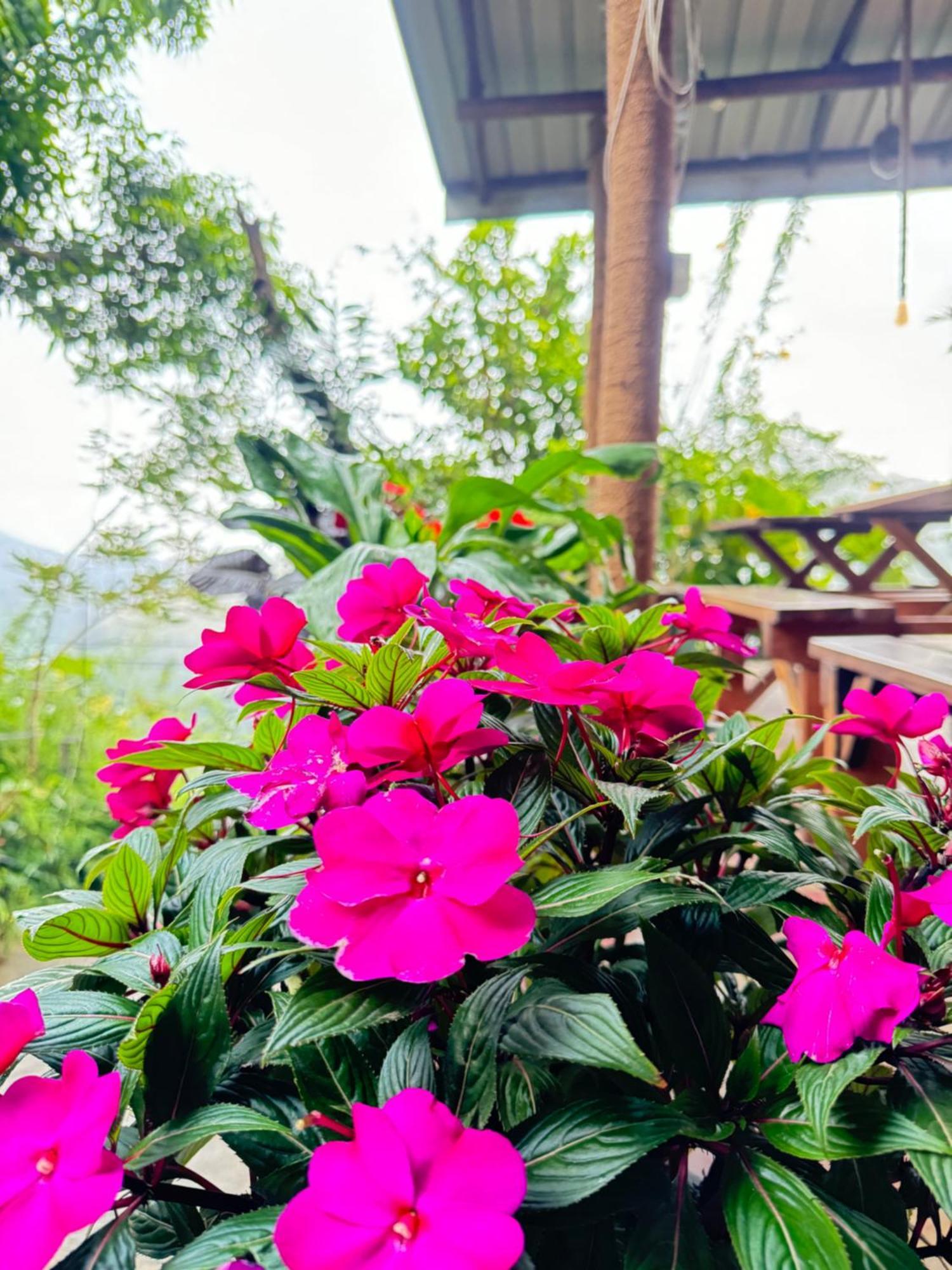 Will Guest Homestay Ella Bagian luar foto